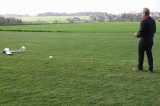 IMG 6742